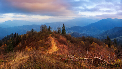 Obraz premium Beautiful autumn view in the last rays of the setting sun of a hiking trail and forested Carpathian Mountains in Ukraine, Lviv region, near the village of Slavsko.