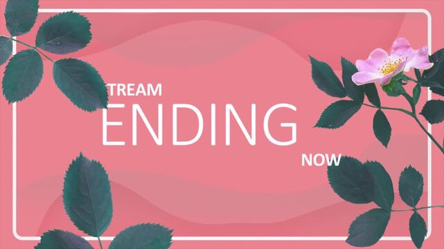 Floral stream ending loop background with pink blossom and green leaves. Suitable for broadcast finales, show closings, and event wrap ups.