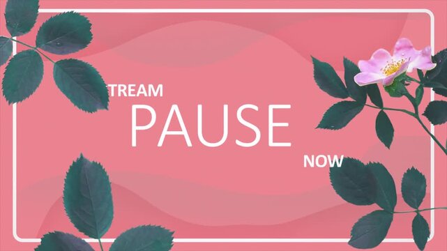 Floral pause stream loop background with flower foliage frame on coral pink. Ideal for break interludes, halftime pauses, and stream timeouts.