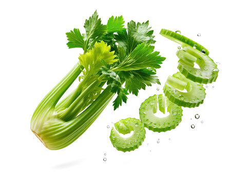 Fresh celery stalk with sliced pieces isolated on white background