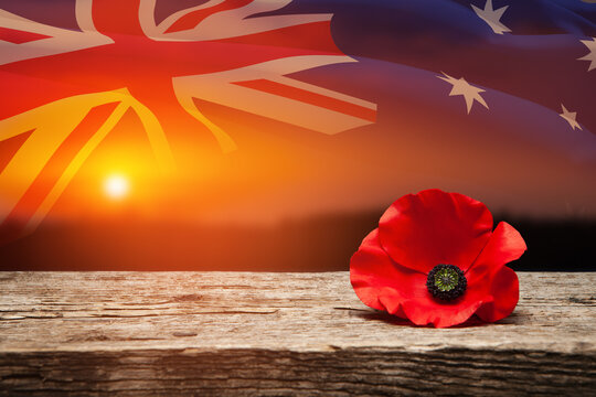 Poppy pin for Anzac Day. Poppy flower on old beautiful high grain, detailed wood on background of sunset sky and transparent Australia flag. Anzac Day Lest We Forget.