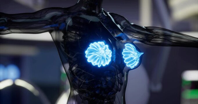 Highly detailed visualization of human mammary glands highlighting their anatomy in a stylized, glowing representation. Ideal for educational purposes in biology and anatomy studies.
