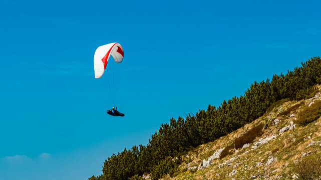 Alpine summer view with a paraglider at Mount Hochfelln, Bergen, Traunstein, Chiemgauer Alpen, Bavaria, Germany