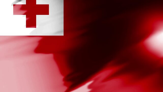 Waving flag of tonga in the wind