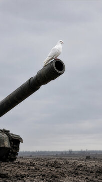 A white dove rests on a tank cannon, symbolizing fragile peace amid war and destruction.