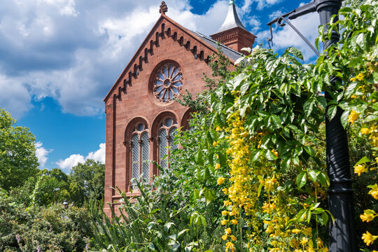 Smithsonian Castle facade appears behind lush foliage and cascading yellow flowers.