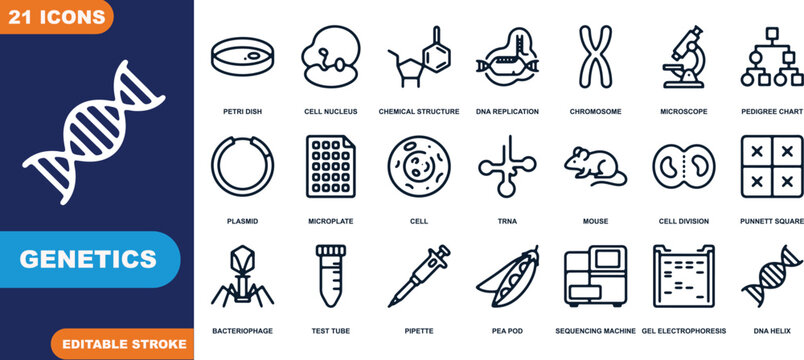 Genetics Science Icons: A comprehensive collection of line art icons representing various aspects of genetics research, including DNA, cell structures, chromosomes, and laboratory equipment.