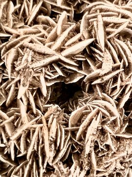 desert rose, gypsum, barite, crystal, mineral, rock, stone, formation, rosette, flower shape, petals, desert, sand, earthy, beige, brown, tan, texture, macro, close up, abstract, natural, geology, ear