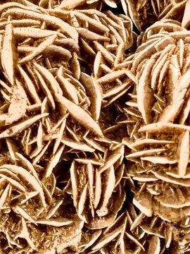 Close-up macro shot of a desert rose crystal mineral formation, showing its intricate, petal-like sand-barite rosette structures.
