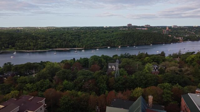 Drone panorama of Halifax Harbour at sunrise, showing multiple rowing crews crossing the calm bay during morning training, with synchronized oars and long trails on the water.