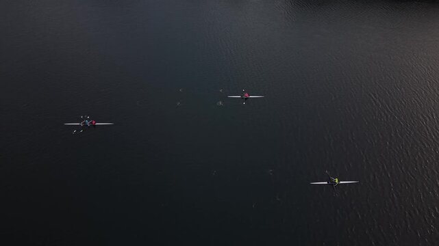High-angle drone view of Halifax Harbour during an early morning rowing session, showing athletes moving steadily across the calm water in traditional racing shells.