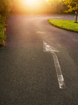 White arrow painted on dark asphalt road surface, points to a sunny nature background. Paint appears worn and cracked near base. Image suggests guidance, travel, or pathfinding