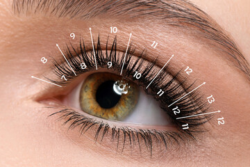Woman with lash mapping, closeup. Eyelash extensions