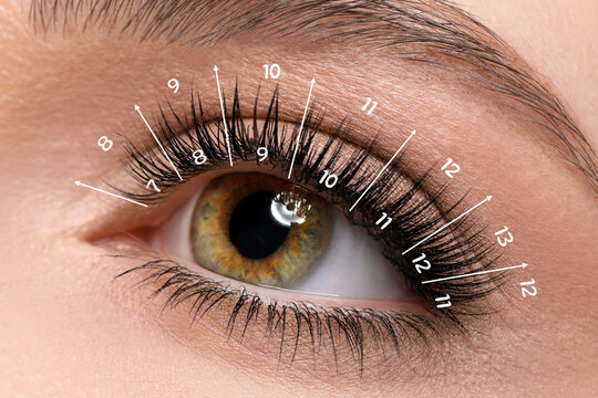 Woman with lash mapping, closeup. Eyelash extensions