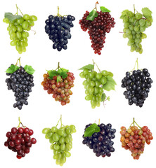 Obraz premium Fresh grapes. Bunches of different varieties isolated on white, set
