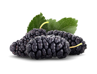 Tasty mulberries and green leaves isolated on white © New Africa