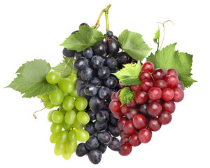 Obraz premium Grapes of different varieties isolated on white