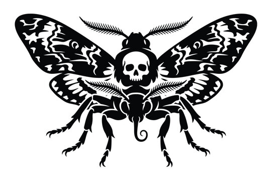 Death's head hawkmoth insect graphic with skull marking on thorax hawkmoth antennae