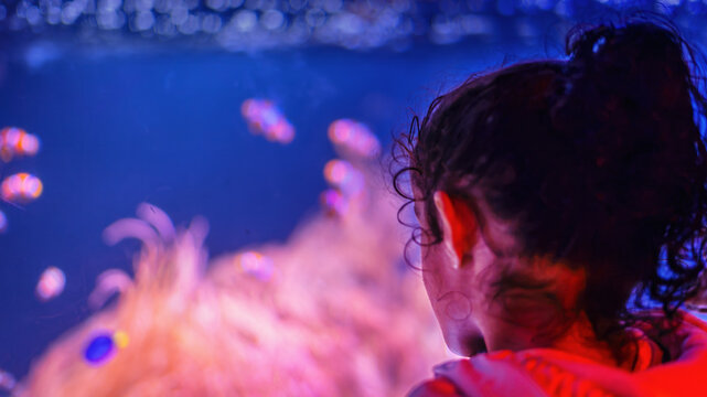 Toddler Looking at Fish in a London Aquarium