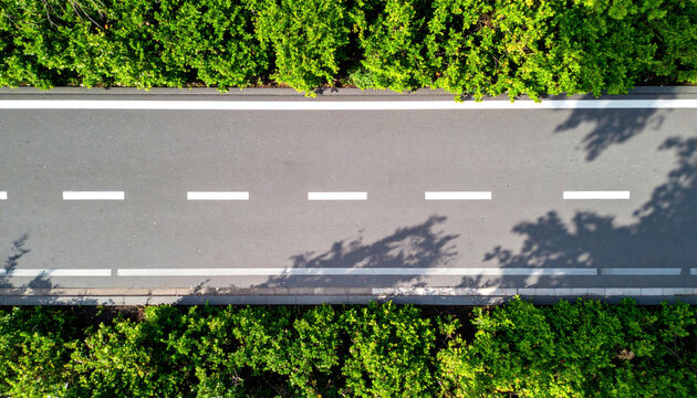 Asphalt road viewed from above with white lane markings surrounded by lush green trees on a bright sunny day
