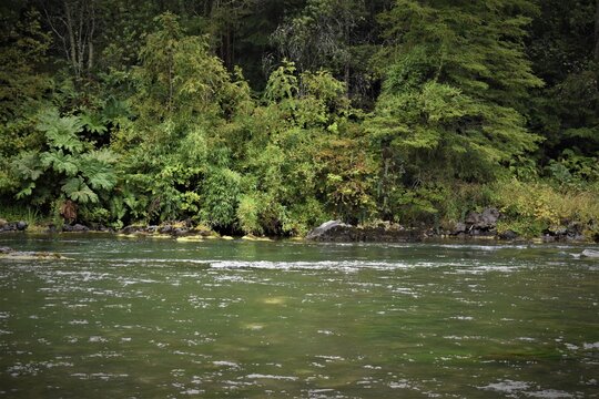 R&iacute;o Nilahue, Lago Ranco