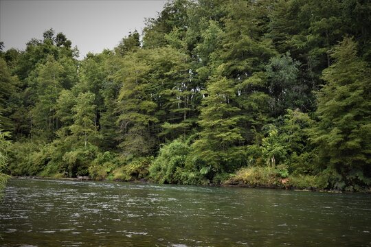 R&iacute;o Nilahue, Lago Ranco