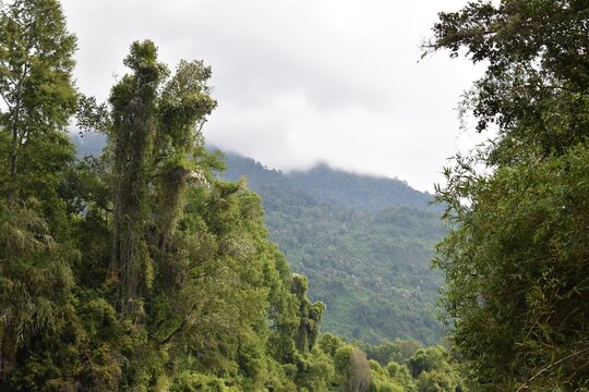 R&iacute;o Ri&ntilde;inahue, Lago Ranco 