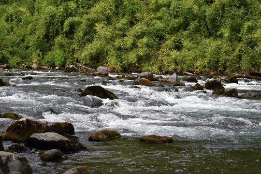 R&iacute;o Ri&ntilde;inahue, Lago Ranco 