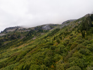 Fototapeta premium Foggy Green Mountainside With Lush Forest and Misty Ridge in British Columbia, Canada