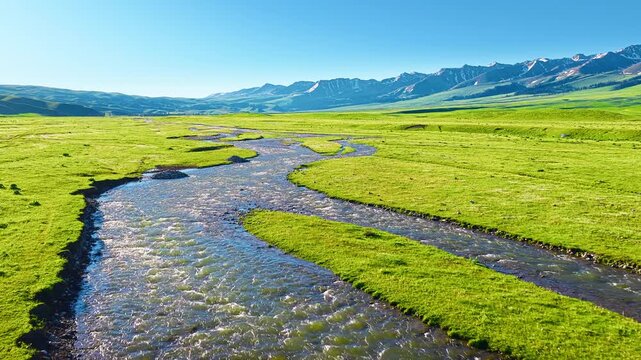 Winding river flows through lush green grassland pasture with snow-capped mountains under a clear blue sky in Nalati Xinjiang.