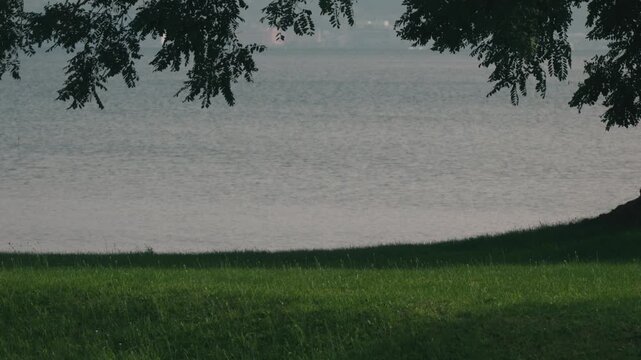 Large tree casting shade over a grassy park with water in the background
