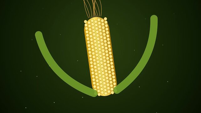Biological kinetic harvesting processes involve microscopic golden cylindrical structures with thin trailing filaments as green appendages slowly retract away from the main central core surface area