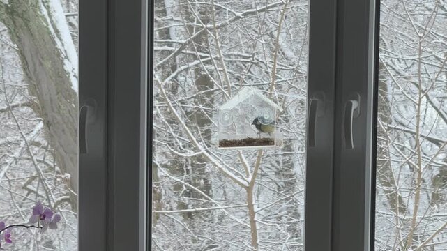 Wide shot of transparent feeder on window with titmouse feeding against snowy trees outside Great for winter lifestyle birdwatching home comfort ecology and seasonal holiday visuals
