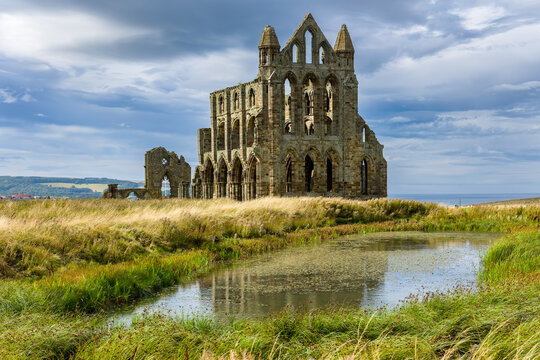 Whitby Abbey gothic stone ruins reflected in calm pond water, surrounded by wild grassland on the East Cliff above the North Sea coast in Yorkshire