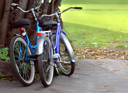 Slower paced Mode of Transportation on Oahua