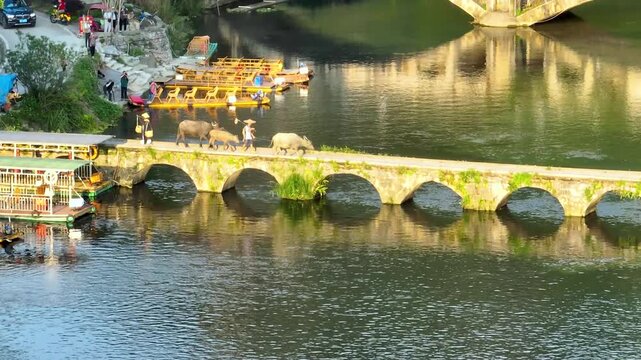 Farmer leading water buffalo across a stone arch bridge over a river in a scenic rural village