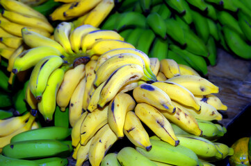 Banana Bunches Fresh at Hilo Market © Bonita