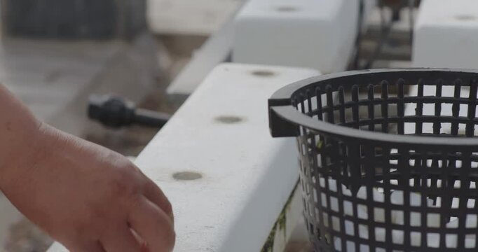 Hydroponic Gardening Basket in White Growing Channel