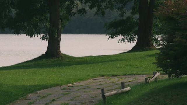 Lakeside Park Promenade with a Large Tree and Expansive Lawn
