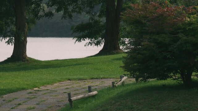 Lakeside Park Promenade with a Large Tree and Expansive Lawn
