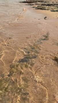 Gentle waves on sandy beach with algae