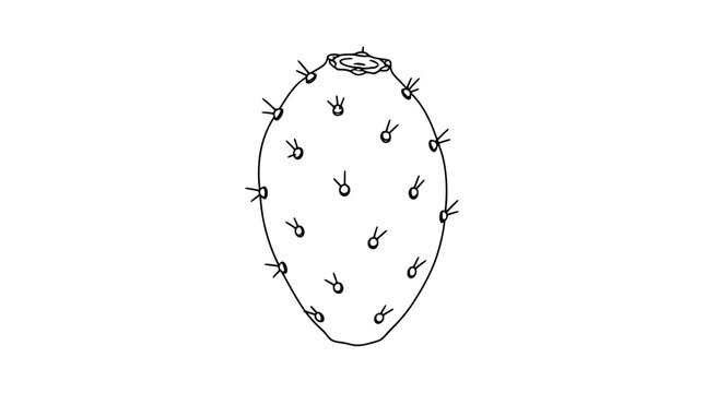 Black outline vector icon of an oval prickly pear cactus fruit with dotted areoles bearing paired spines and a scarred blossom end on top rendered with thin lines in upright centered composition