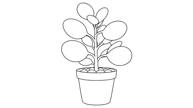 Black outline vector icon of a potted jade plant with stem oval rounded leaves and pebble-topped pot drawn with thin lines in front view composition showing branching succulent foliage fullness