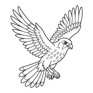Flying falcon bird outline line art illustration. Black and white hawk predator character spreading wings for kids coloring page activity book.