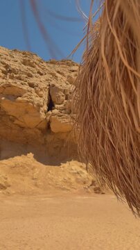 Close-up of camel fur with rocky desert background
