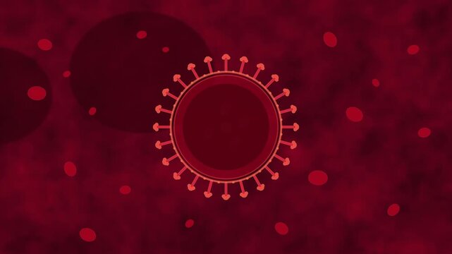 coronavirus cell virus infection microbiology medical science outbreak