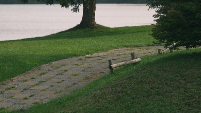 Lakeside Park Promenade with a Large Tree and Expansive Lawn
