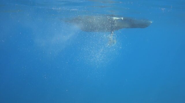 Propeller of a boat motor rotates underwater