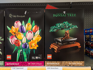 Obraz premium Colorful LEGO Botanical Sets: Tulip Bouquet and Bonsai Tree