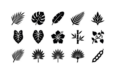 Obraz premium Exotic Leaf Variety, solid glyph icon set featuring palm frond, monstera, banana leaf, fern, caladium, philodendron, tropical blossom, bamboo sprig, vine, coconut leaf, leaf fan and seed pod, covering